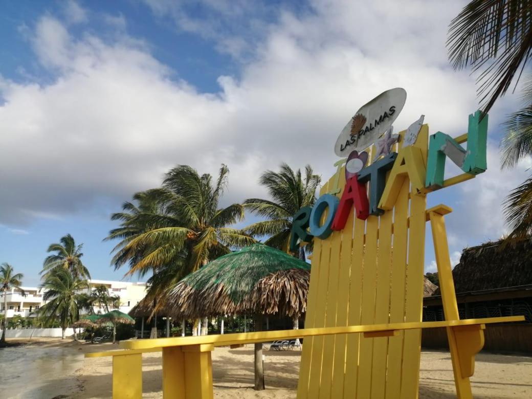 Las Palmas Beach Hotel Dixon Cove ภายนอก รูปภาพ