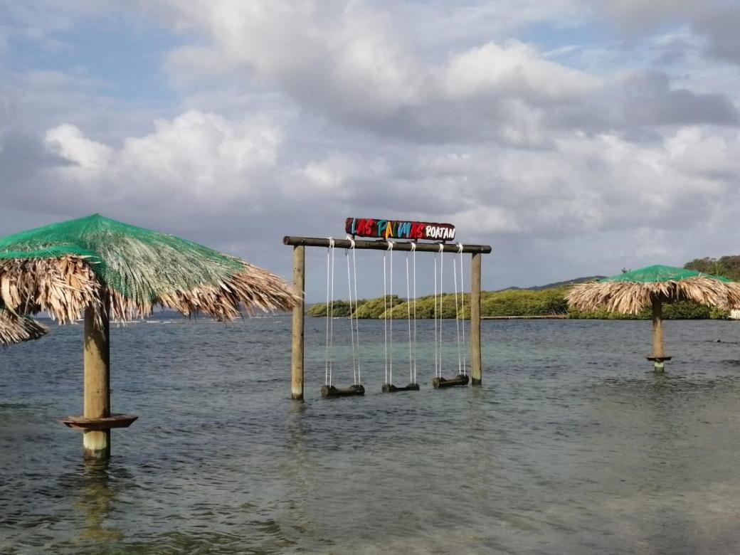 Las Palmas Beach Hotel Dixon Cove ภายนอก รูปภาพ