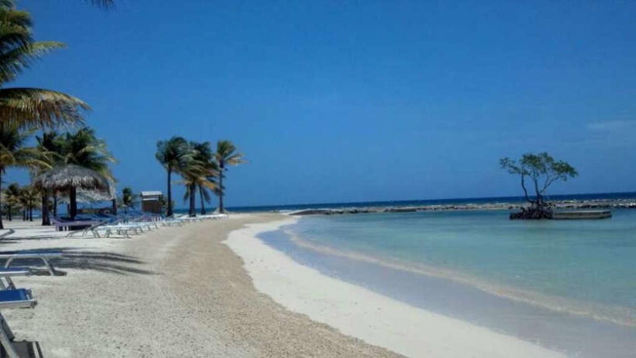 Las Palmas Beach Hotel Dixon Cove ภายนอก รูปภาพ