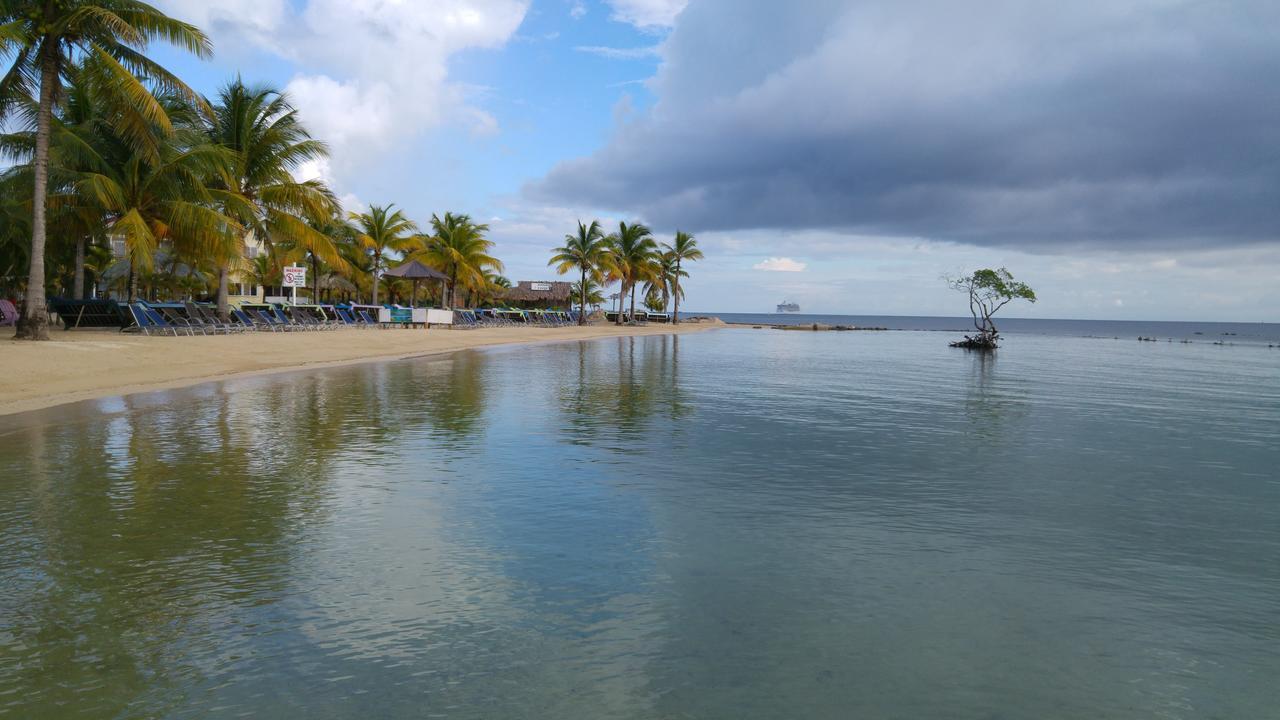 Las Palmas Beach Hotel Dixon Cove ภายนอก รูปภาพ
