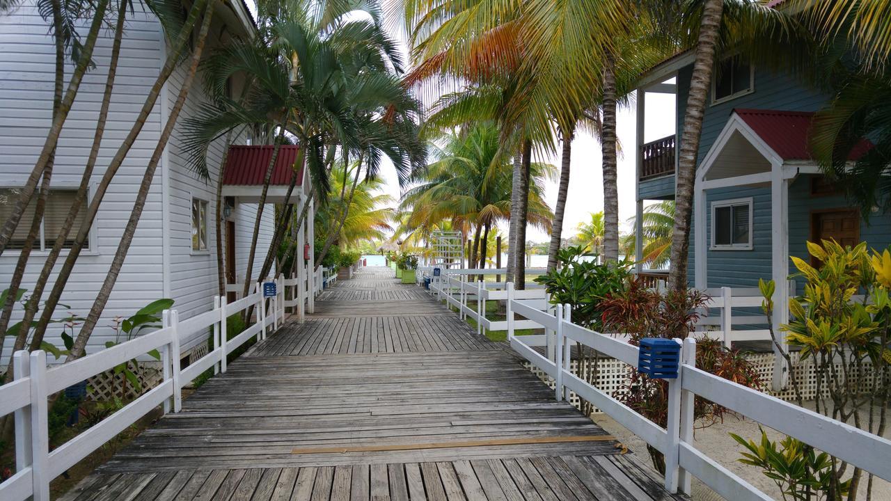 Las Palmas Beach Hotel Dixon Cove ภายนอก รูปภาพ