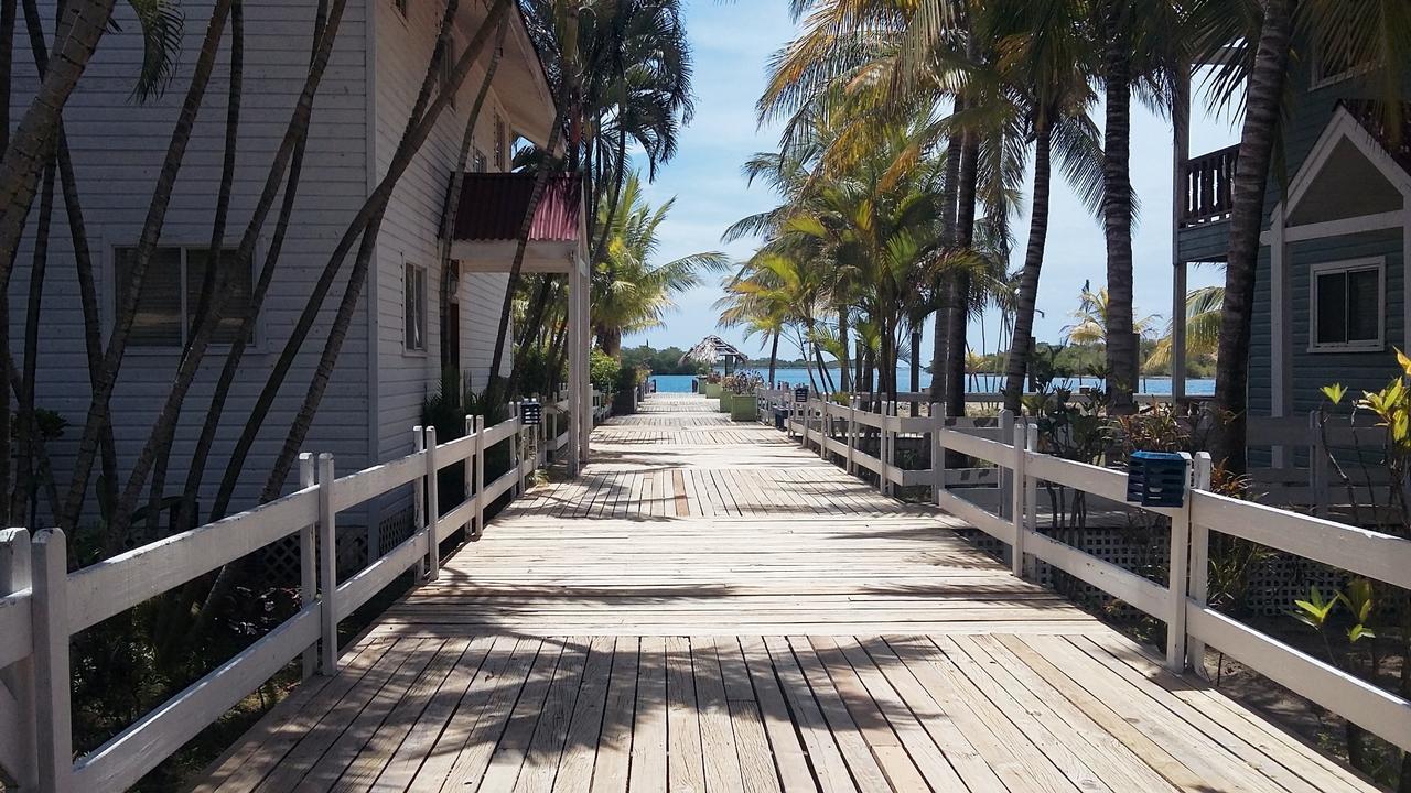 Las Palmas Beach Hotel Dixon Cove ภายนอก รูปภาพ