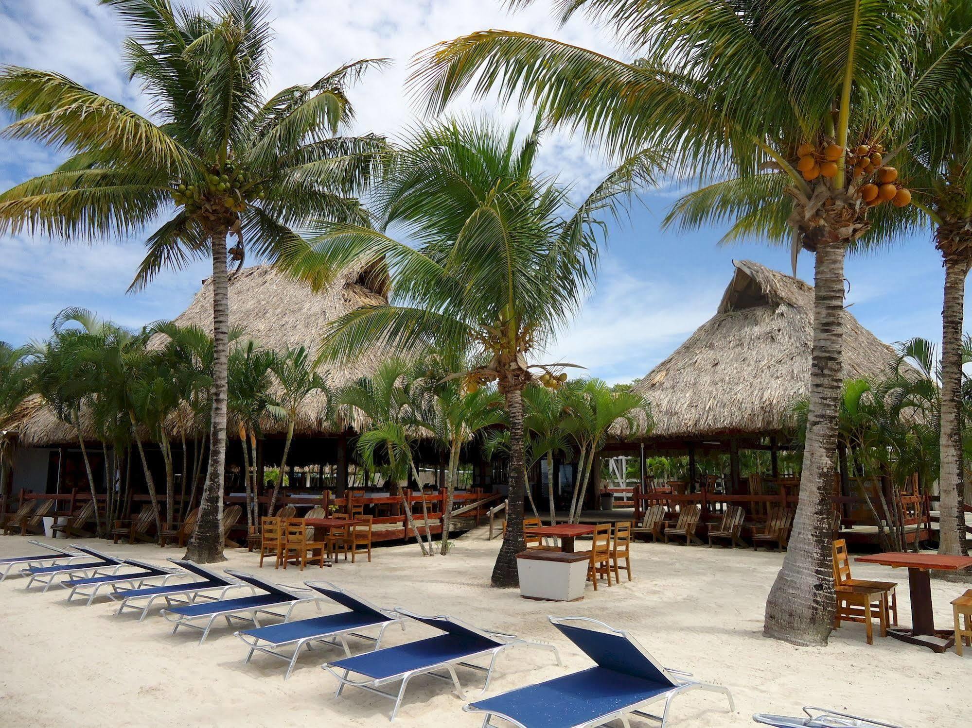 Las Palmas Beach Hotel Dixon Cove ภายนอก รูปภาพ