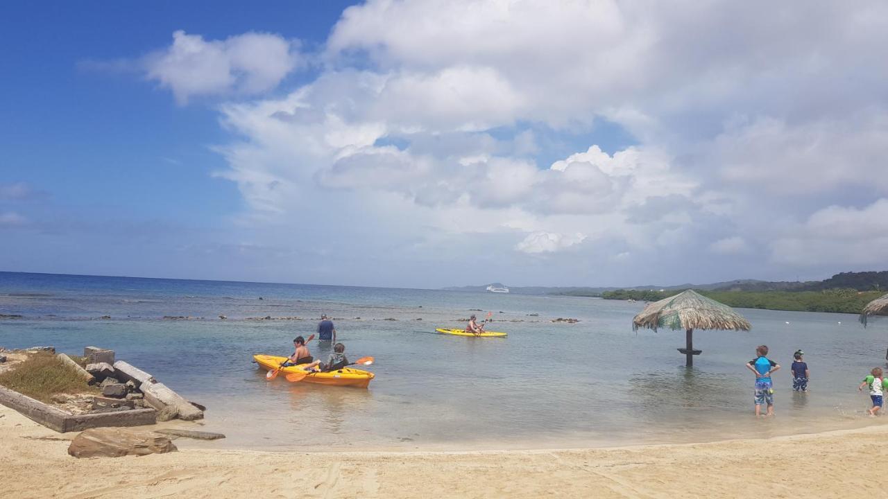 Las Palmas Beach Hotel Dixon Cove ภายนอก รูปภาพ