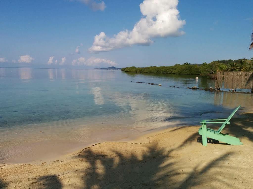 Las Palmas Beach Hotel Dixon Cove ภายนอก รูปภาพ